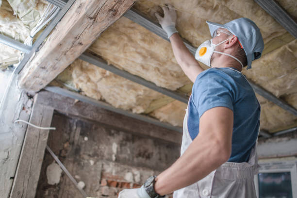 Best Home Insulation Services  in Oakland, PA