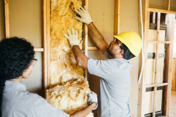 Best Insulation Replacement Services  in Oakland, PA