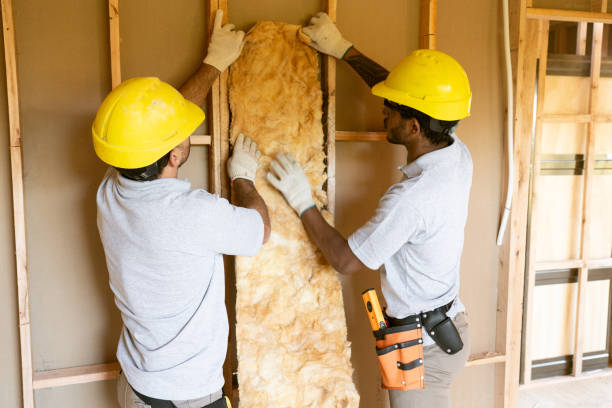 Best Energy-efficient Insulation  in Oakland, PA
